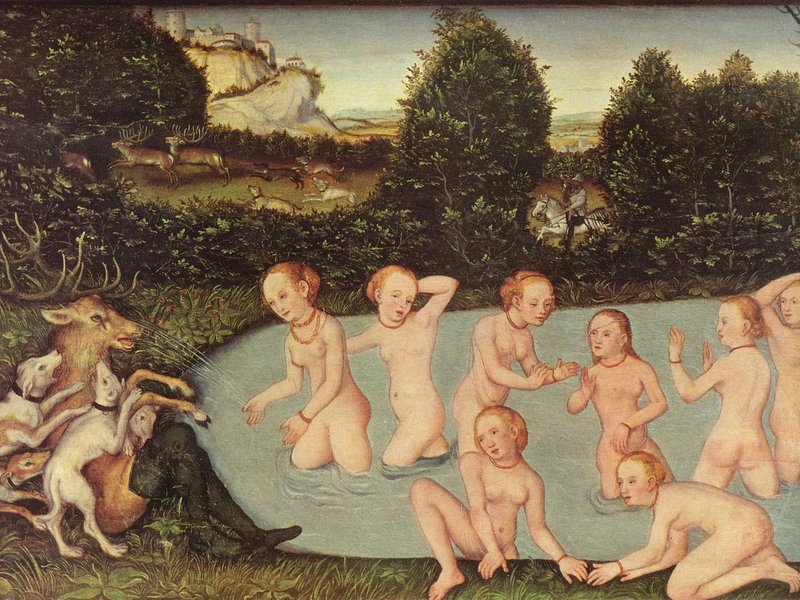 lucas_cranach_d_a_012.jpg__800x600_q85_crop