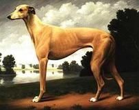 089aaecbef3a2032f387cce323711c22