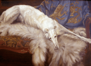 Captura de Tela 2015-01-01 às 14.55.27