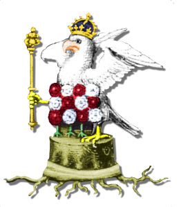 falcon_colour-278x300