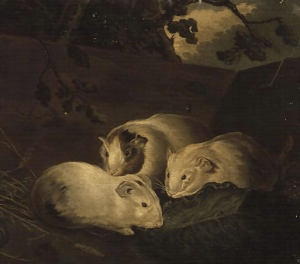 Captura de Tela 2015-05-18 às 21.07.42