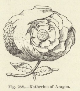 Katherine of Aragon. Illustration for Historic Devices, Badges and War-Cries by Mrs Bury Palliser (Sampson Low, 1870).