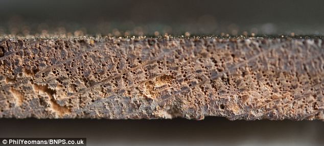 article-2539831-1AACD05700000578-280_634x286