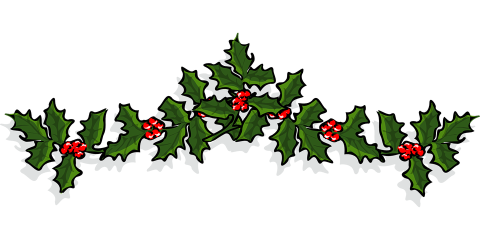 holly-161840_960_720.png
