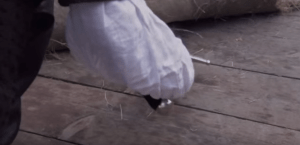 Captura de Tela 2016-01-14 às 09.16.05