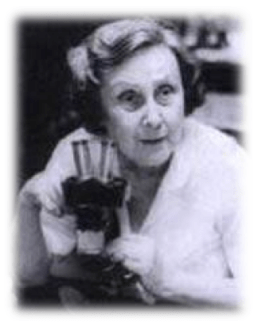 Captura de Tela 2016-03-08 às 18.08.08