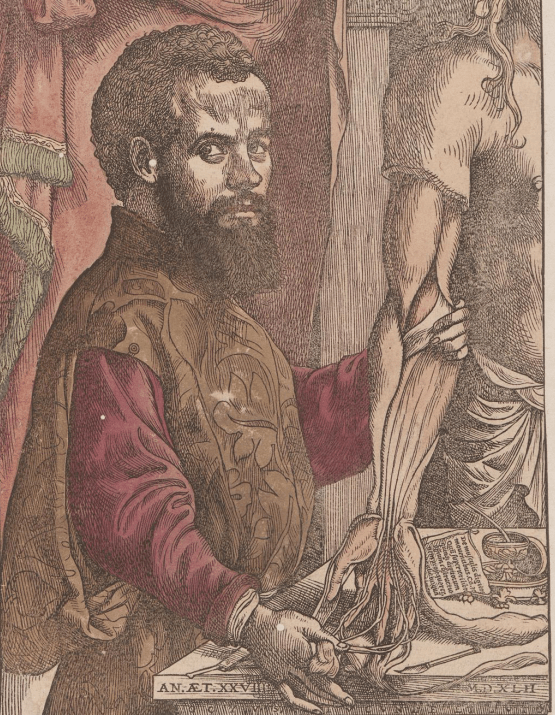 Captura de Tela 2018-05-12 às 15.52.39